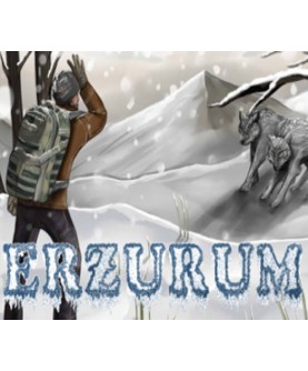 Erzurum Steam Key GLOBAL